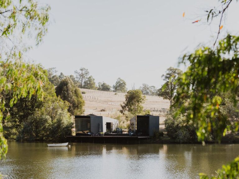 xr:d:DAFdPIm4ZCI:6,j:43309221081,t:23031505