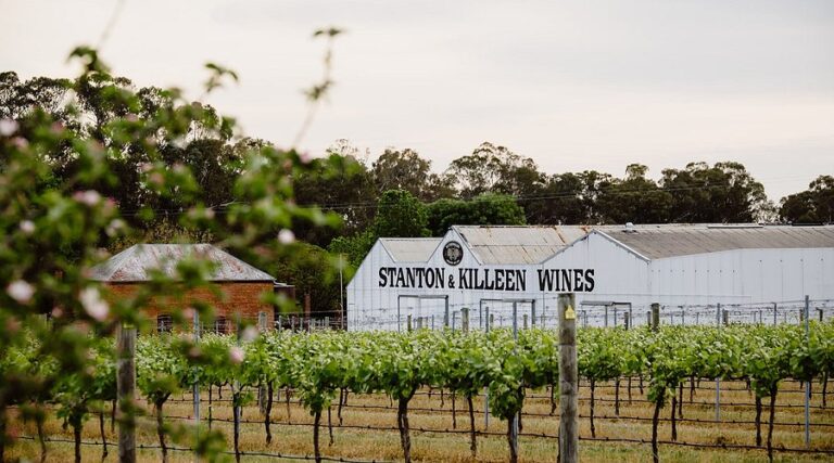 springtime-in-the-vineyard