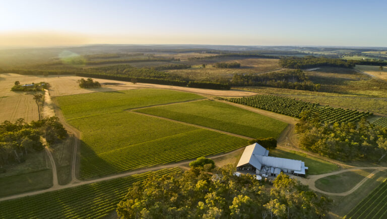 frankland winery