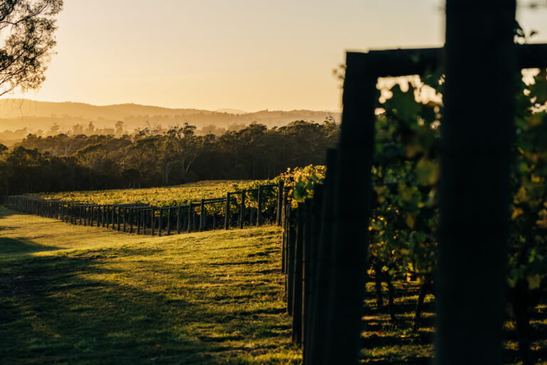 @adam.gibson.photo_7827