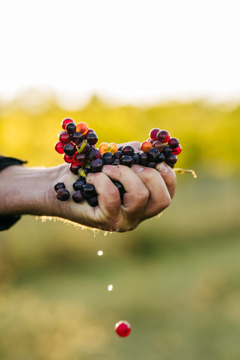 @adam.gibson.photo_SmallWonder_AGP_2281