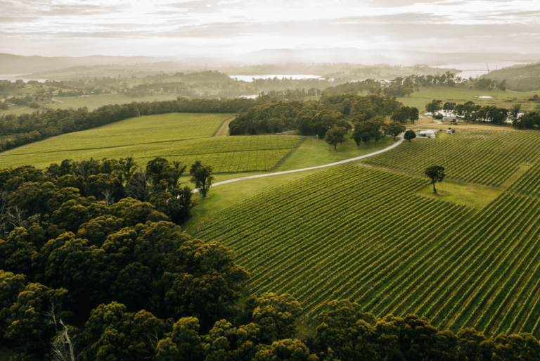 winery