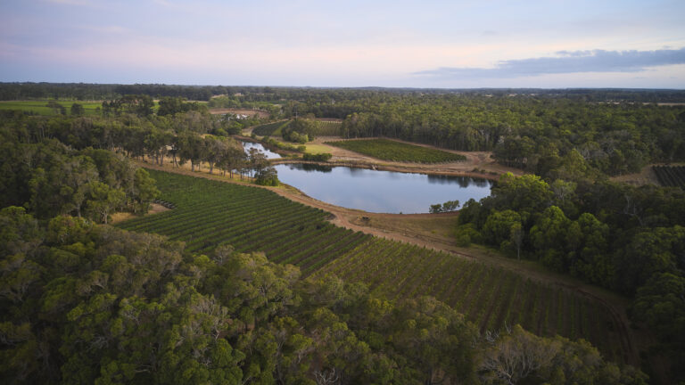 Overstory 2023 – Elliot Ramsay @xlightco 0641 copy