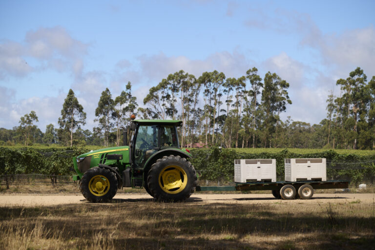 Overstory 2023 – Elliot Ramsay @xlightco 0857 copy