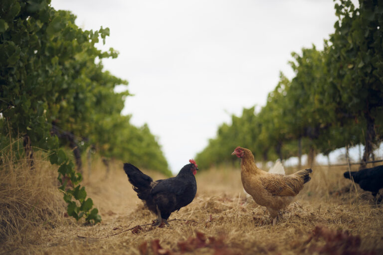 Wayfinder 2023 – Elliot Ramsay @xlightco 0504 copy